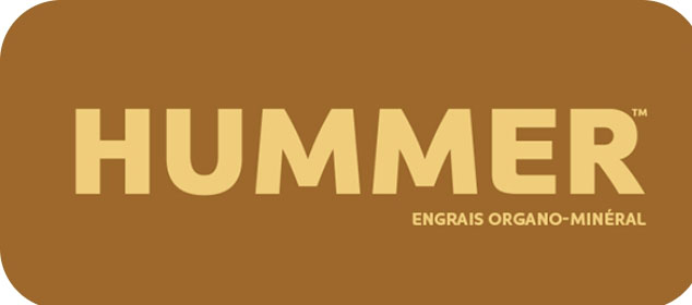 Hummer logo