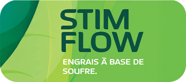 Stim Flow logo