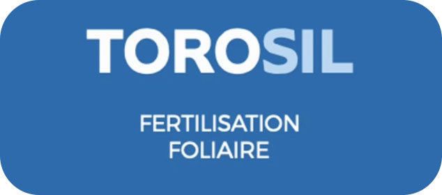 Torosil logo