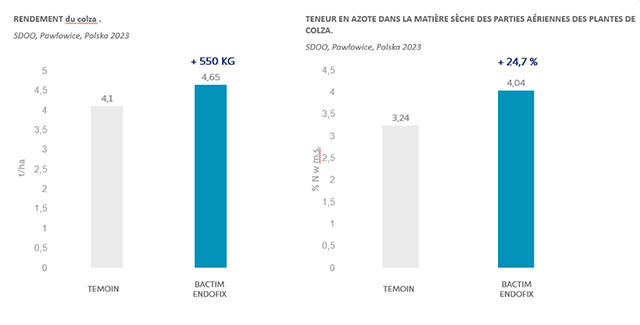 Bactim Endofix label 5