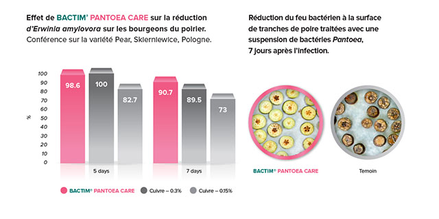Bactim pantoea care label 10