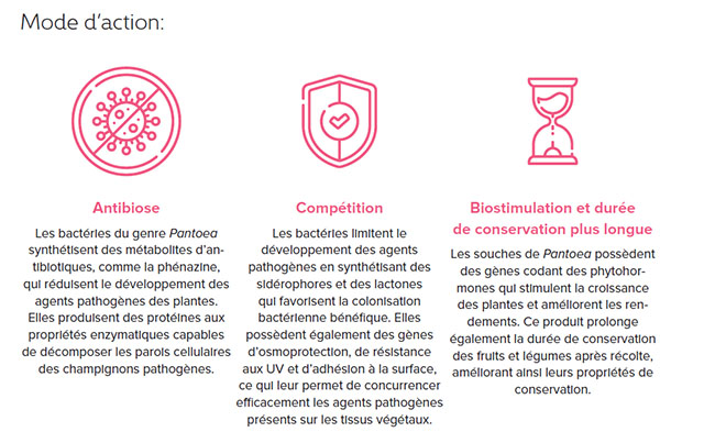 Bactim pantoea care label 2