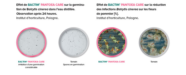 Bactim pantoea care label 8