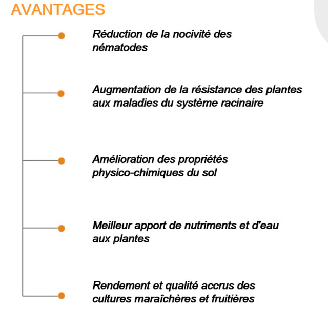 Mycotim Nemablock label 4
